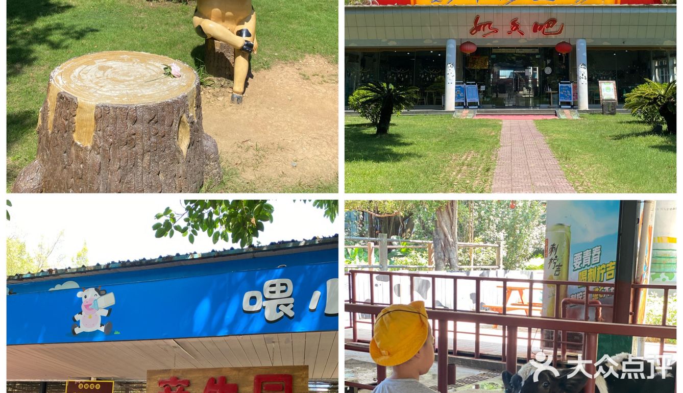 🐮国庆假期亲子游好去处｜光明农场大观园