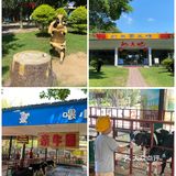 🐮国庆假期亲子游好去处｜光明农场大观园