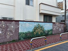 -西归浦每天偶来市场