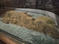 -白鹤梁水下博物馆