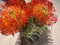 -新荣记(温岭九龙店)