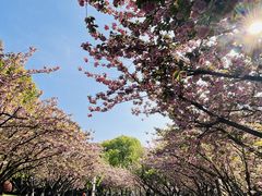 -苏州河梦清园环保主题公园