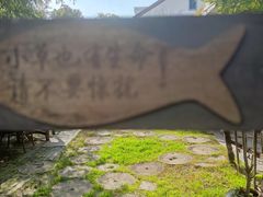 -金山嘴渔村