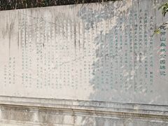 -宜兴龙背山森林公园