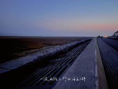 -南汇嘴观海公园