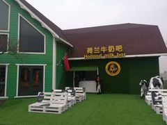 -荷兰花海