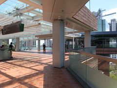 -香港大学