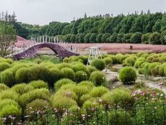 -嘉北郊野公园