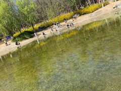 -云岗森林公园