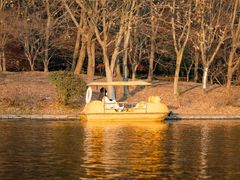 -上海共青森林公园