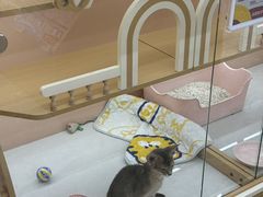 -凯德广场(金牛店)