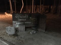 -清迈夜间动物园