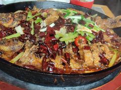 -老板恋上鱼(恒隆广场店)