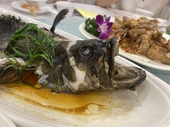 -湛江渔港·大排档(乐园路总店)