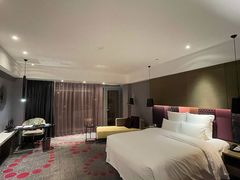 -南京禄口机场雅高铂尔曼大酒店