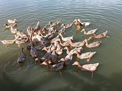 -野鸭湖国家湿地公园