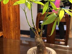 -七菜馆·东北菜·蒸饺(文体路店)