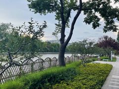 -枫桥景区