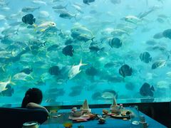 -瑞德姆美人鱼海底演艺主题餐厅(亚龙湾店)
