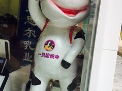 -一只酸奶牛(奎星楼店)