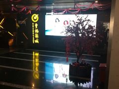 -曹杨影城(曹杨店)