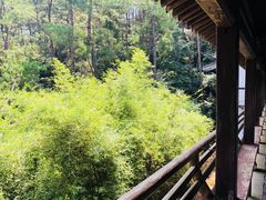 -梦姑塘文化公园