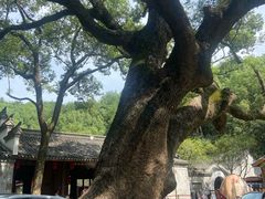 -宁波市保国寺古建筑博物馆