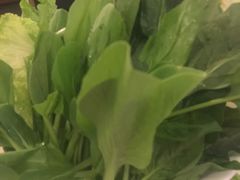-台北吴记老锅底麻辣火锅(蓝村路店)
