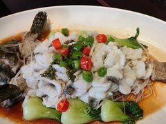 -维园悦谱·海派家常菜(乌鲁木齐南路店)