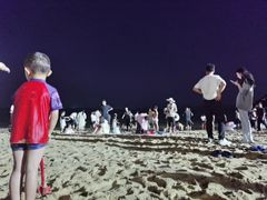-大梅沙海滨公园