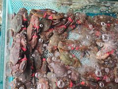 -盛华世家商业广场农贸水产综合批发市场