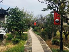 -林屋梅海青梅保护基地
