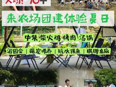 -洪湖家庭农场·团建·露营·会议