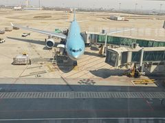 -新世界百货(明洞总店)