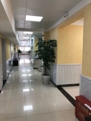-成都军建医院·医疗整形