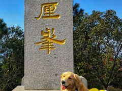 -雨花胜境