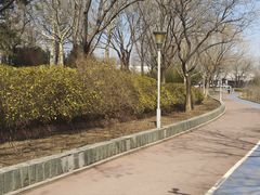-滨河世纪广场公园
