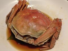苏帮熟醉母蟹-苏帮袁Sue Cuisine(来福士店)