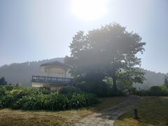 -南沙蒲洲花园