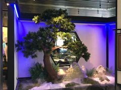 景观位-绿茶餐厅(成都大悦城店)