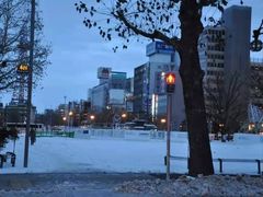 -大通公园