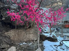 -黑龙潭风景区