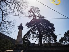 -潭柘寺景区