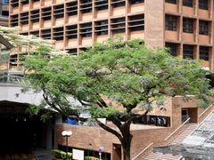 -香港理工大学