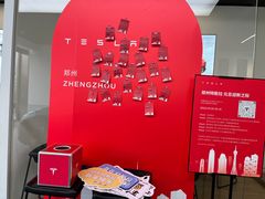-TESLA 特斯拉(郑州正弘城体验店)