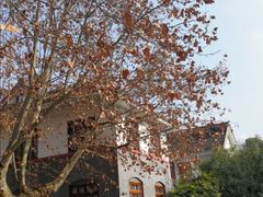 -四川农业大学(雅安校区)