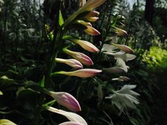 -贵阳市花溪国家城市湿地公园