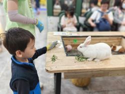 -神奇动物撸宠馆·羊驼·小浣熊·异宠(豫园店)