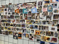 -半岛宠物医院24小时(科华中路店)