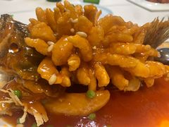 松鼠桂鱼-峨嵋酒家总店(车公庄店)